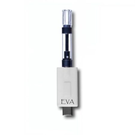 EVA X - The Society