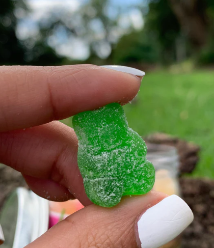 Full Spectrum CBD Sour Gummy Bears By Pungent Greens- Assorted - The Society 