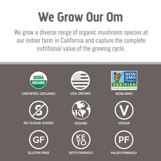 Chaga Organic Mushroom Powder - The Society 