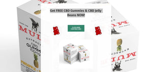 Get FREE CBD Gummies & CBD Jelly Beans NOW! - The Society 