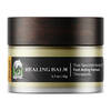 Koi CBD Balm - 500mg - The Society 