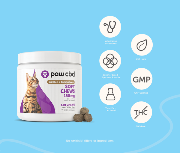 Paw CBD Chicken & Catnip Chews 150mg - The Society 