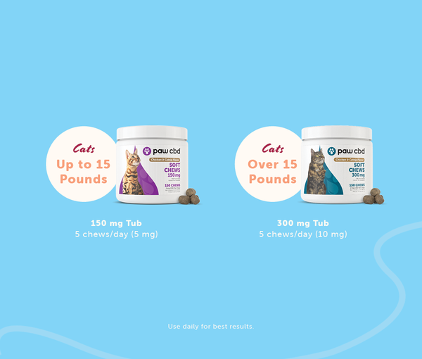 Paw CBD Chicken & Catnip Chews 150mg - The Society 