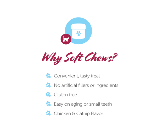 Paw CBD Chicken & Catnip Chews 150mg - The Society 