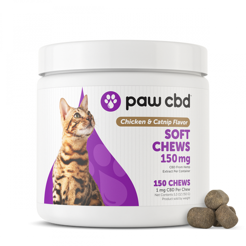 Paw CBD Chicken & Catnip Chews 150mg - The Society 